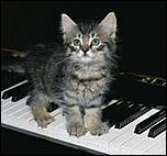 Click image for larger version

Name:	musical kitty icon.jpeg
Views:	304
Size:	20.3 KB
ID:	25